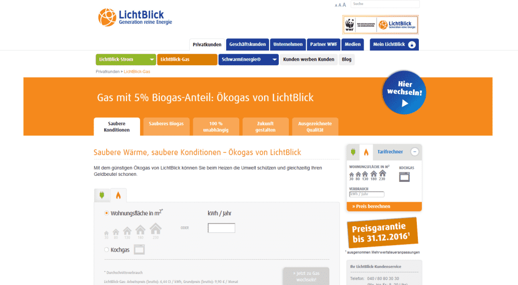 Die Webseite von Lichtblick